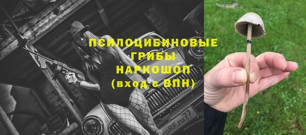 гашик Балахна